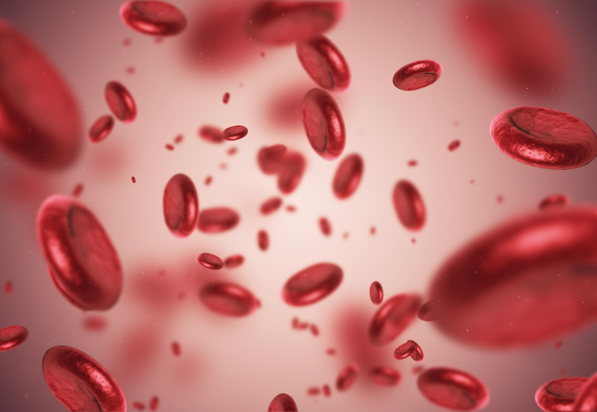 Artist impression of blood cells