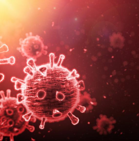 Artist's impression of virus cells within the human body