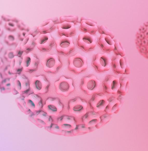 Artist impression of HPV virus