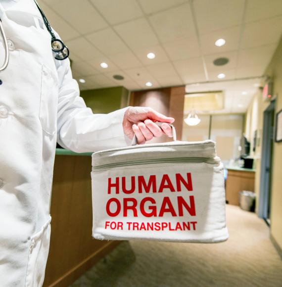 Transporting a human organ