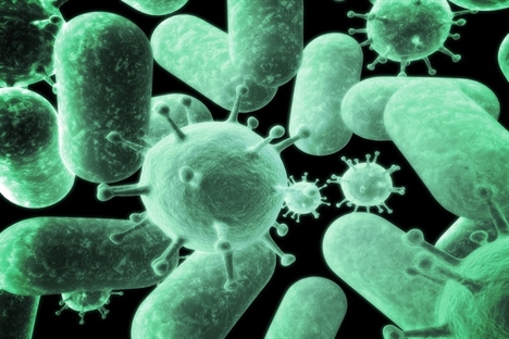 International effort needed against antimicrobial resistance