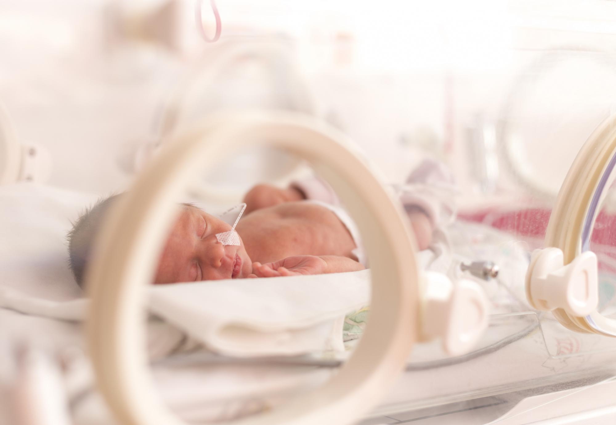 Premature baby in an incubator