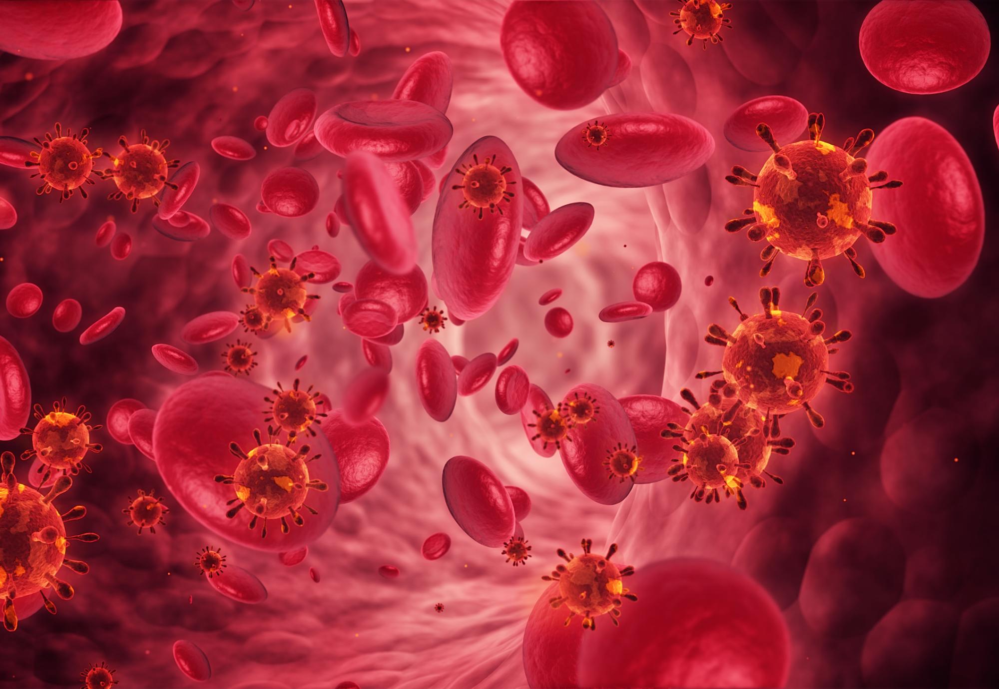 Artist impression of red blood cells and bacterium within circulatory system