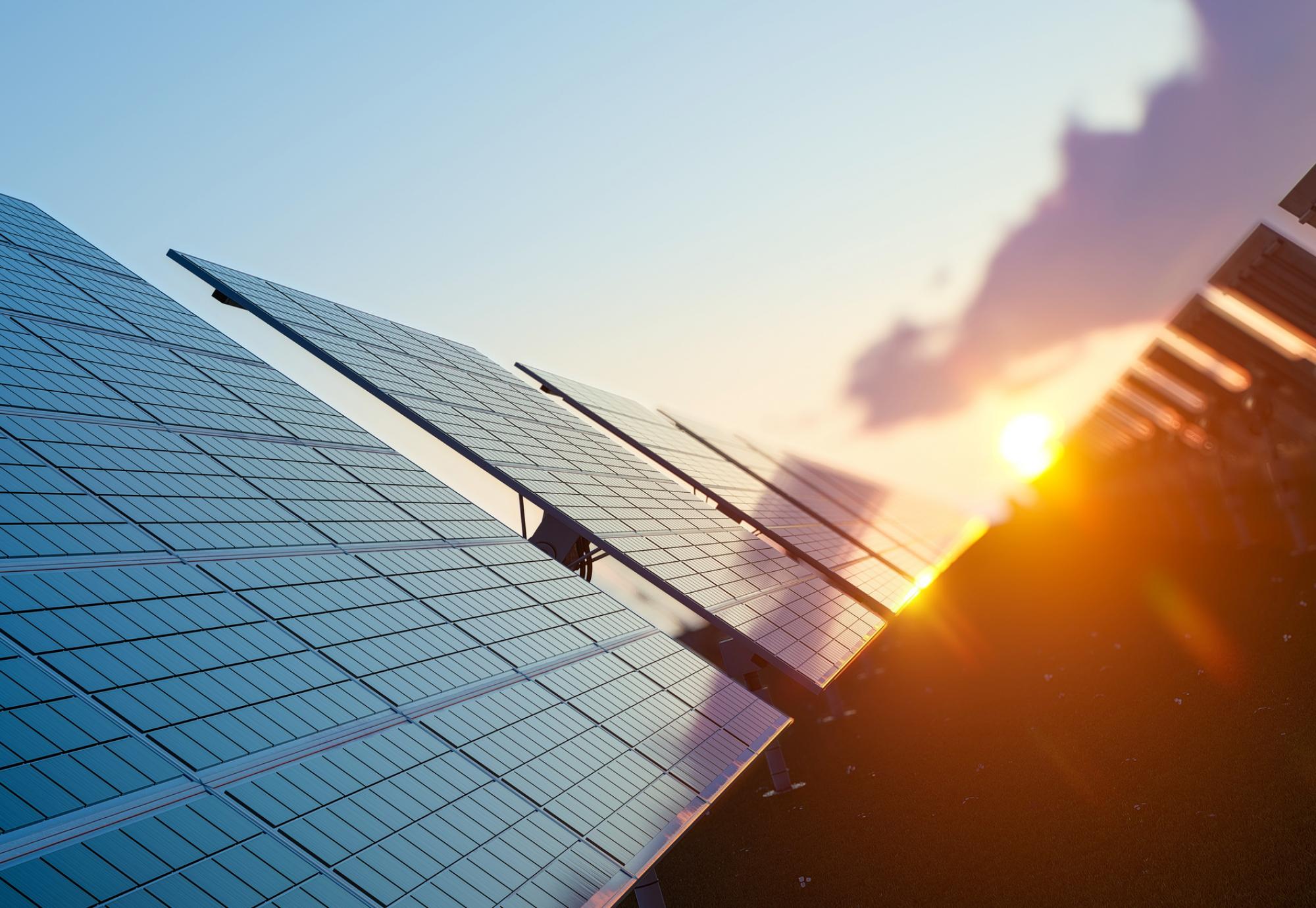 Solar panels glinting in the sunlight