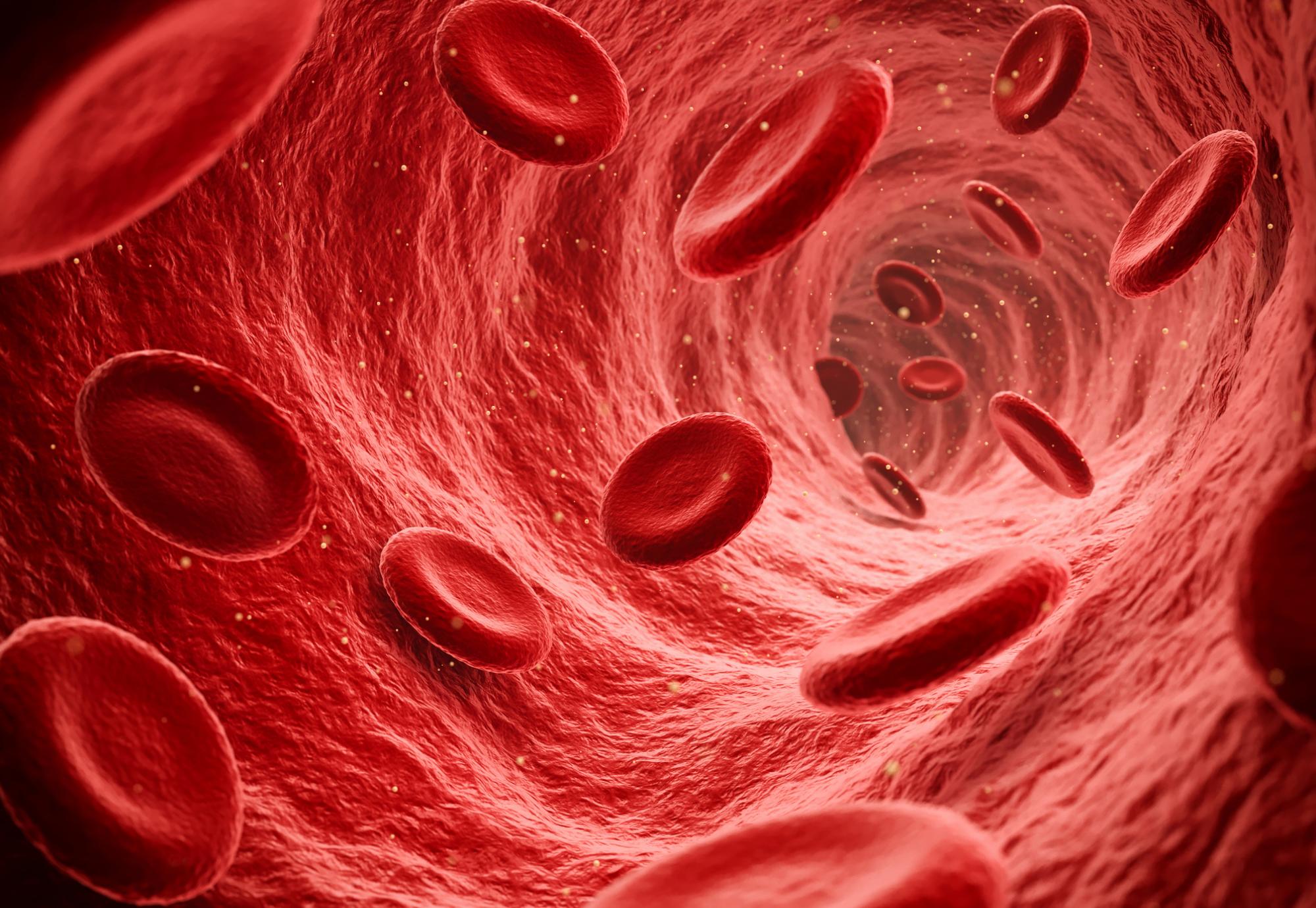 Blood cells