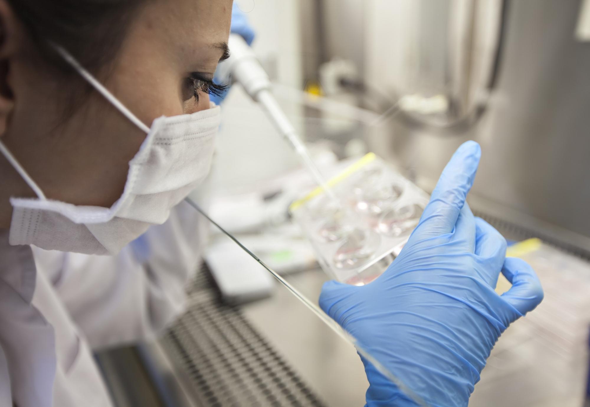 Scientist working on IVF treatment
