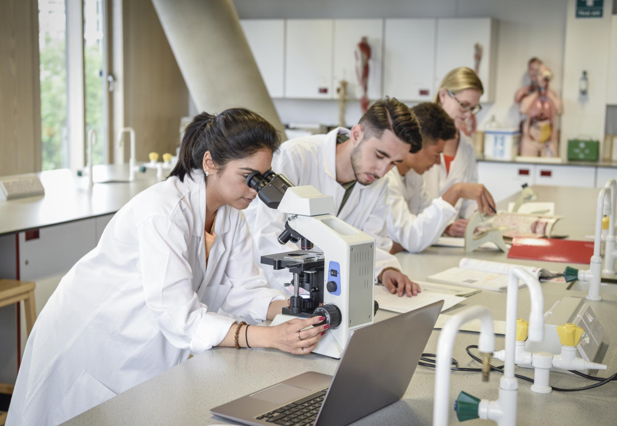 lab technicians using microscope