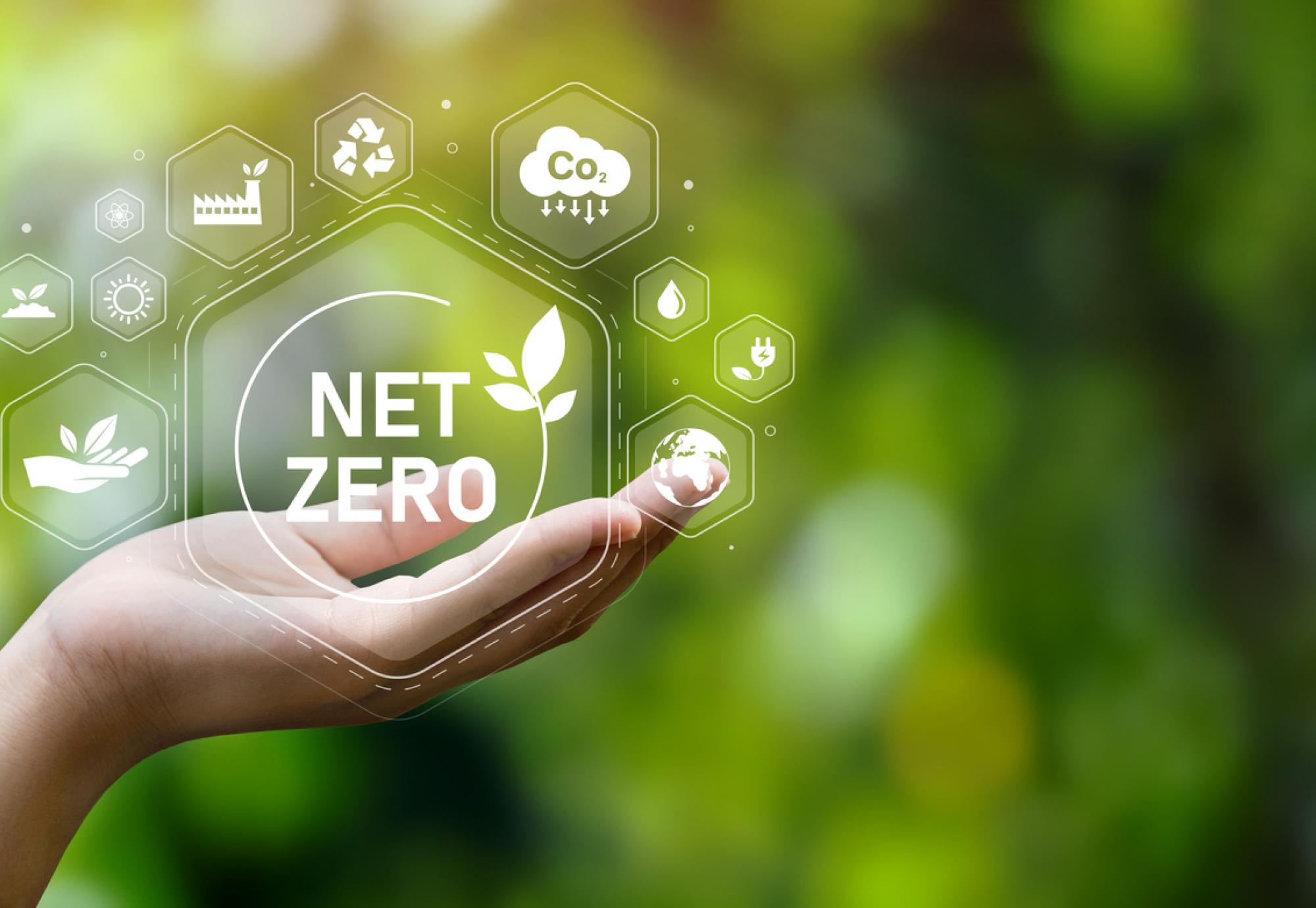 National sustainability plan launched by net zero trailblazers NHS