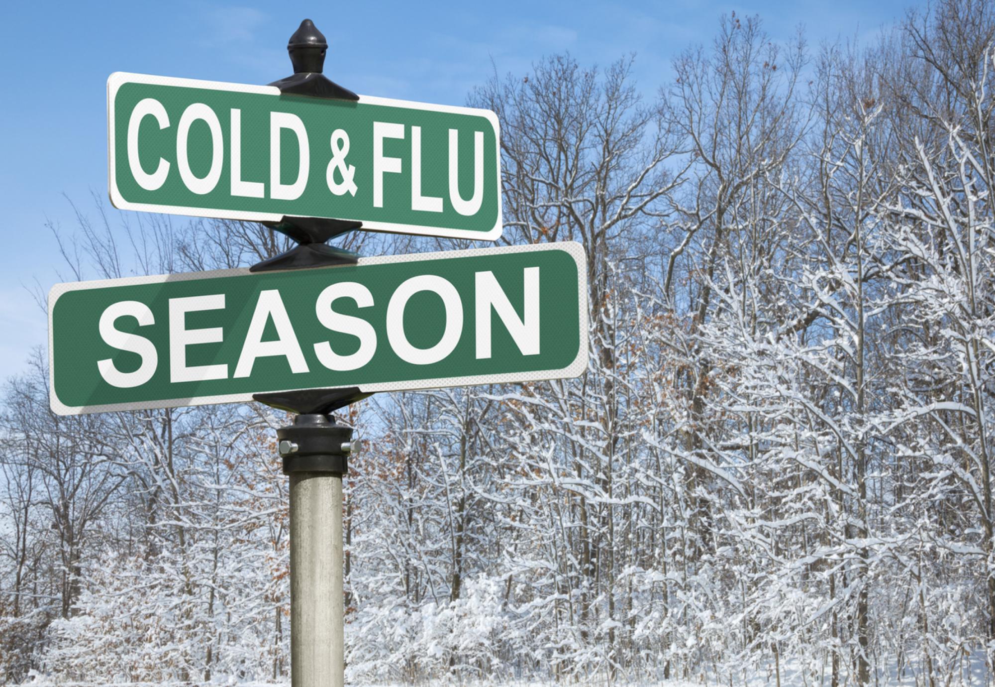 Festive road sign with cold and flu on it