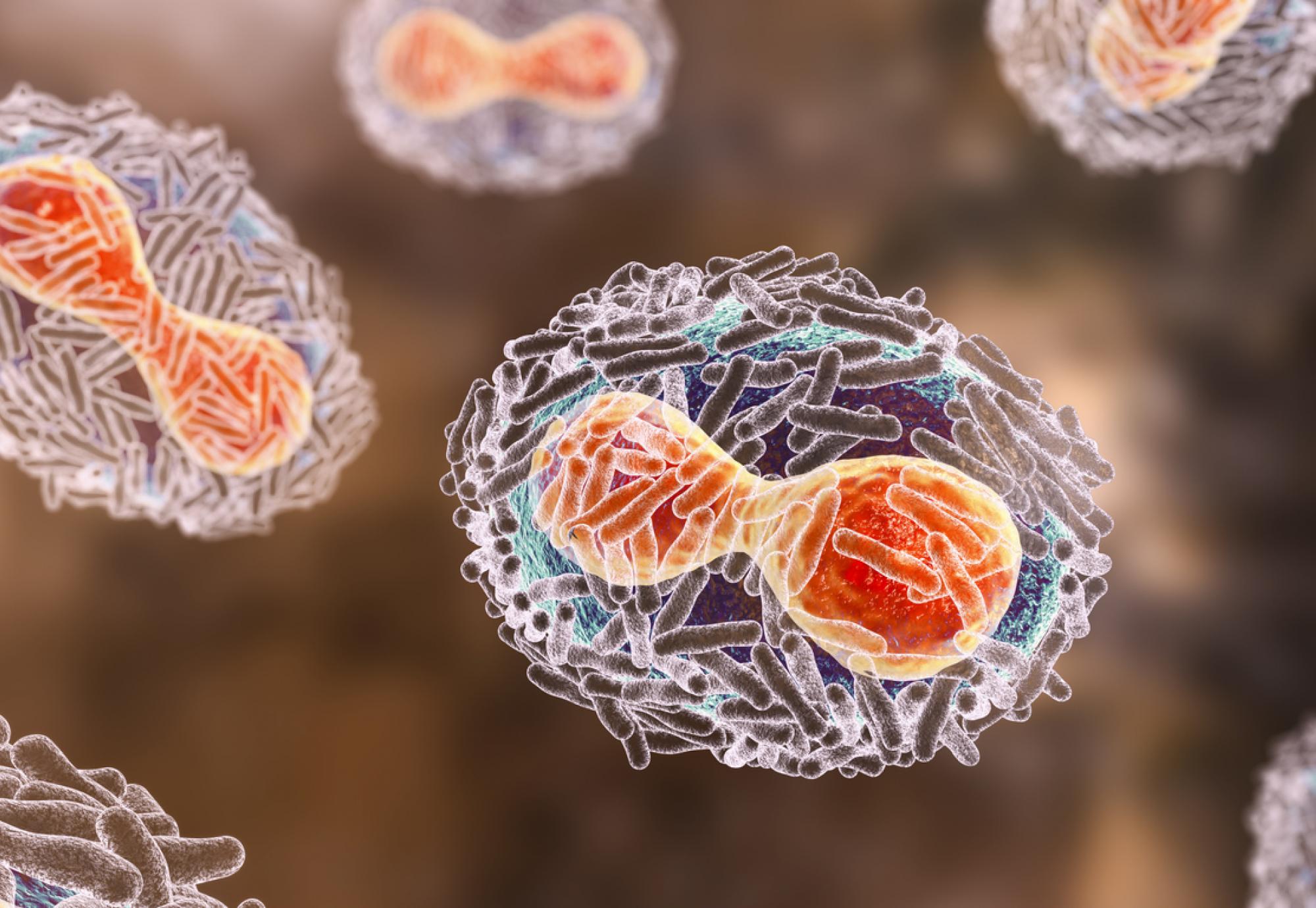 3D illustration of the monkeypox virus