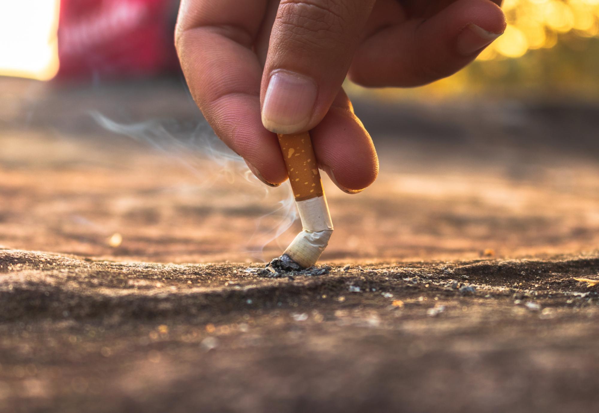 Cigarette butt on the ground