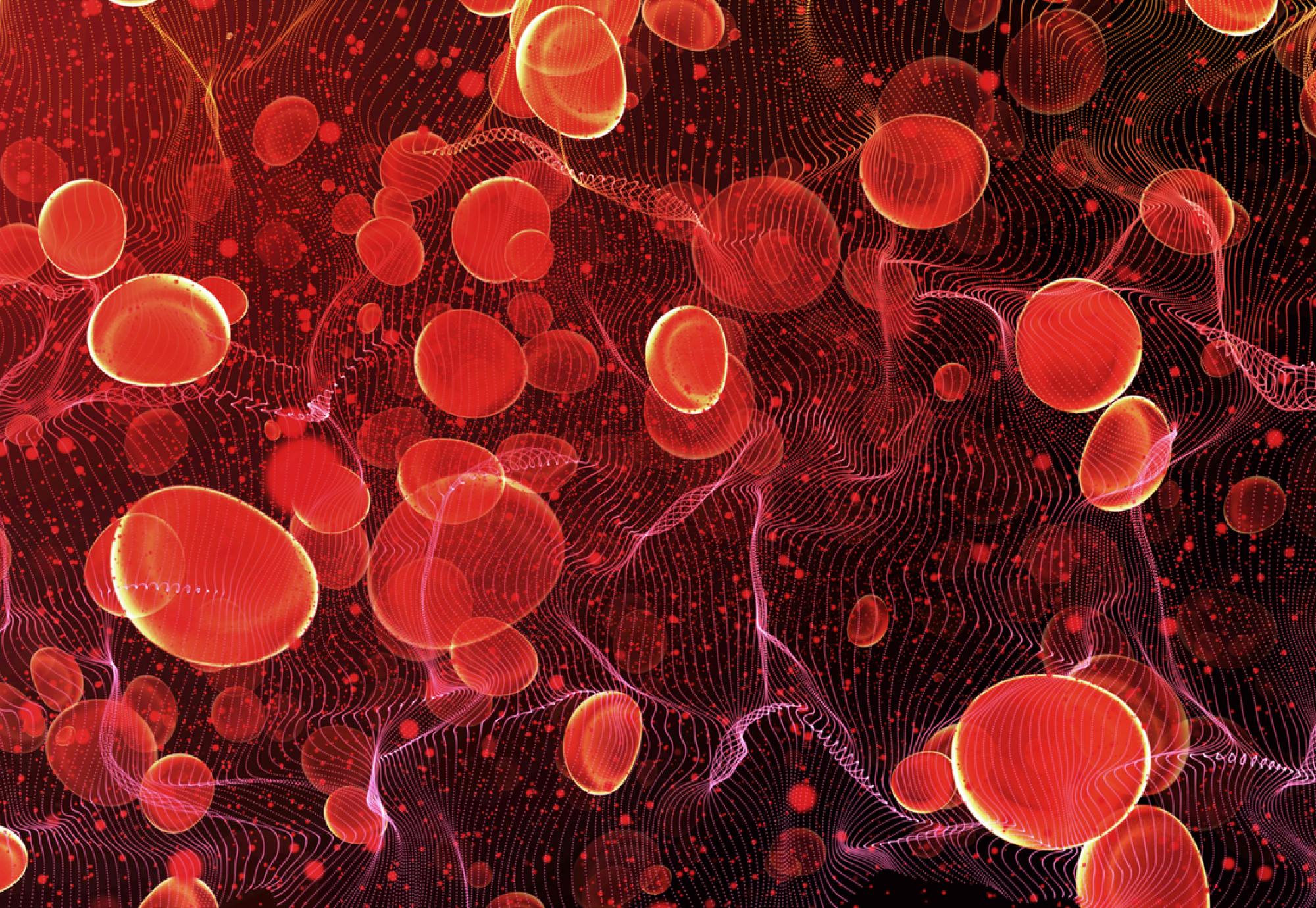 Red blood cells