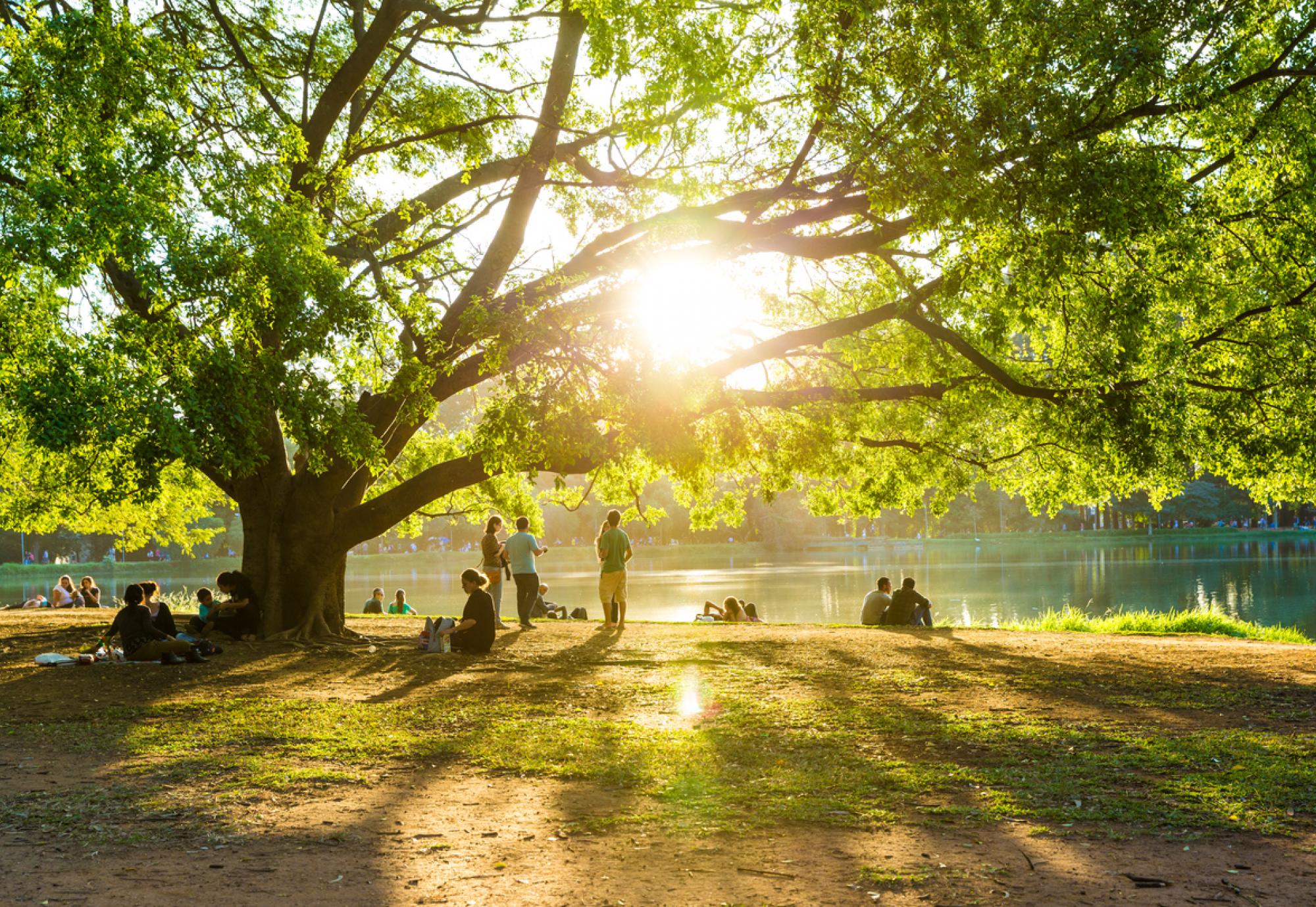 View of a park depicting how green space can improve mental health