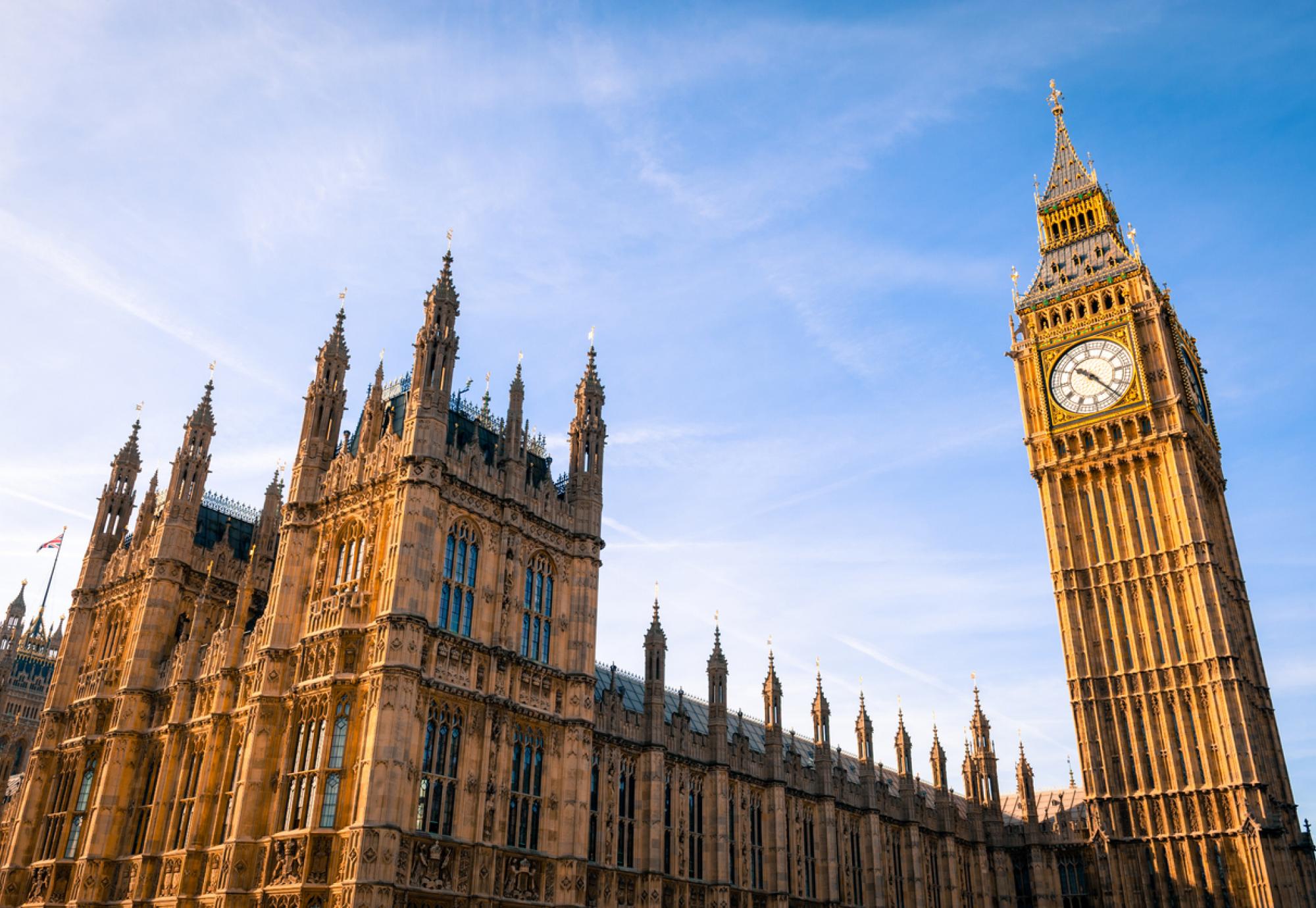 House of Parliament to vote on the Tobacco and Vapes Bill