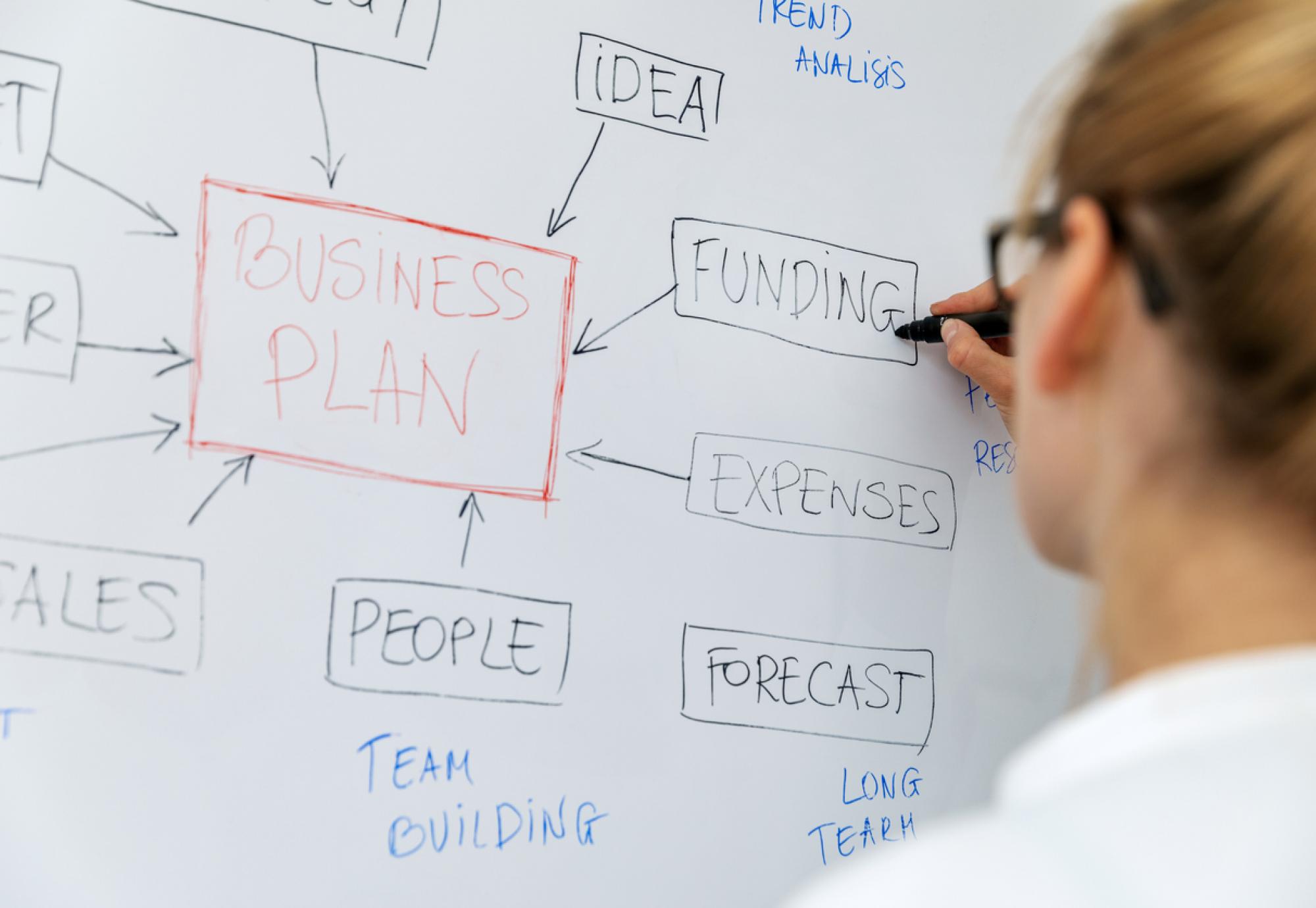 MHRA business plan