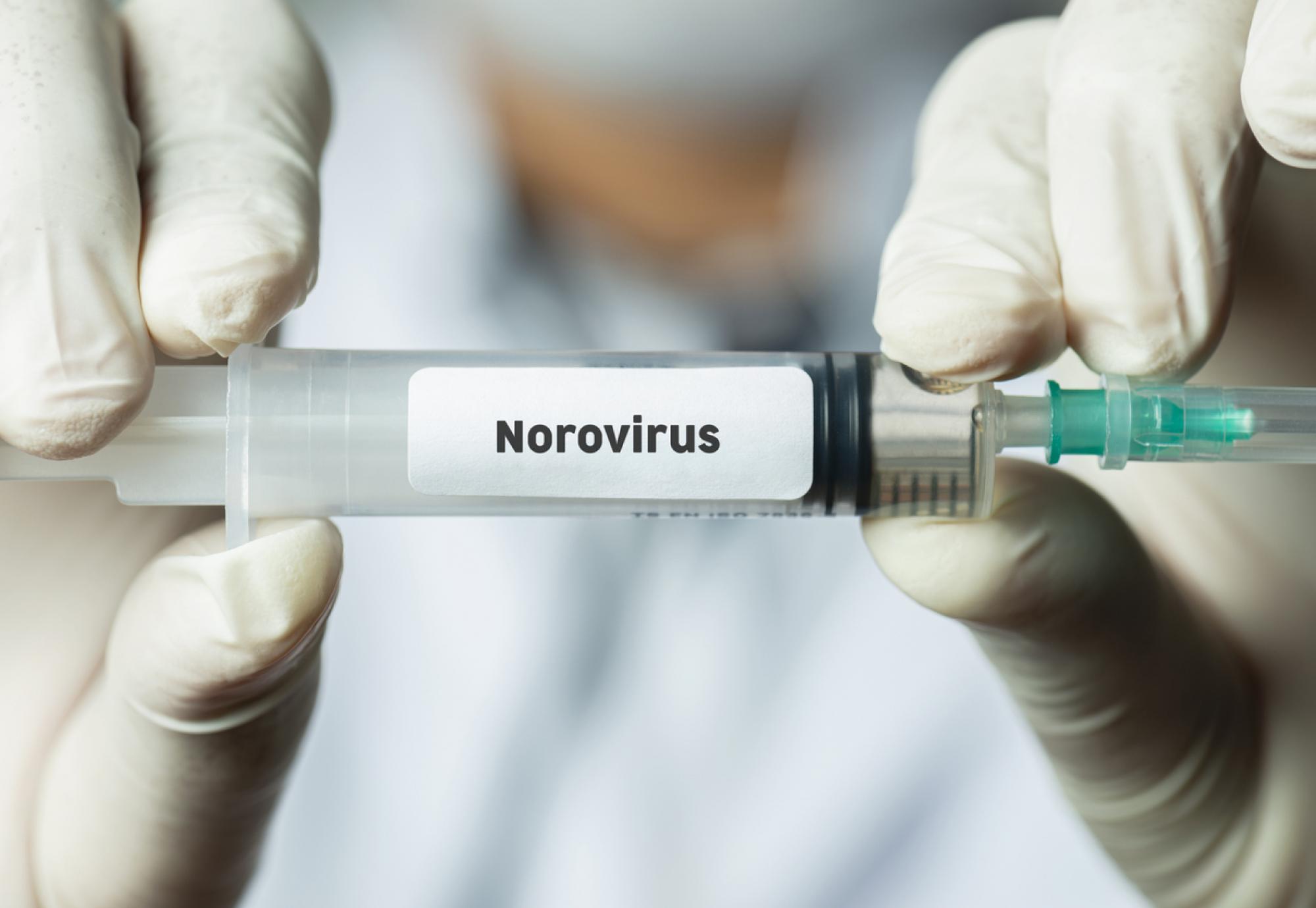 Norovirus vaccine