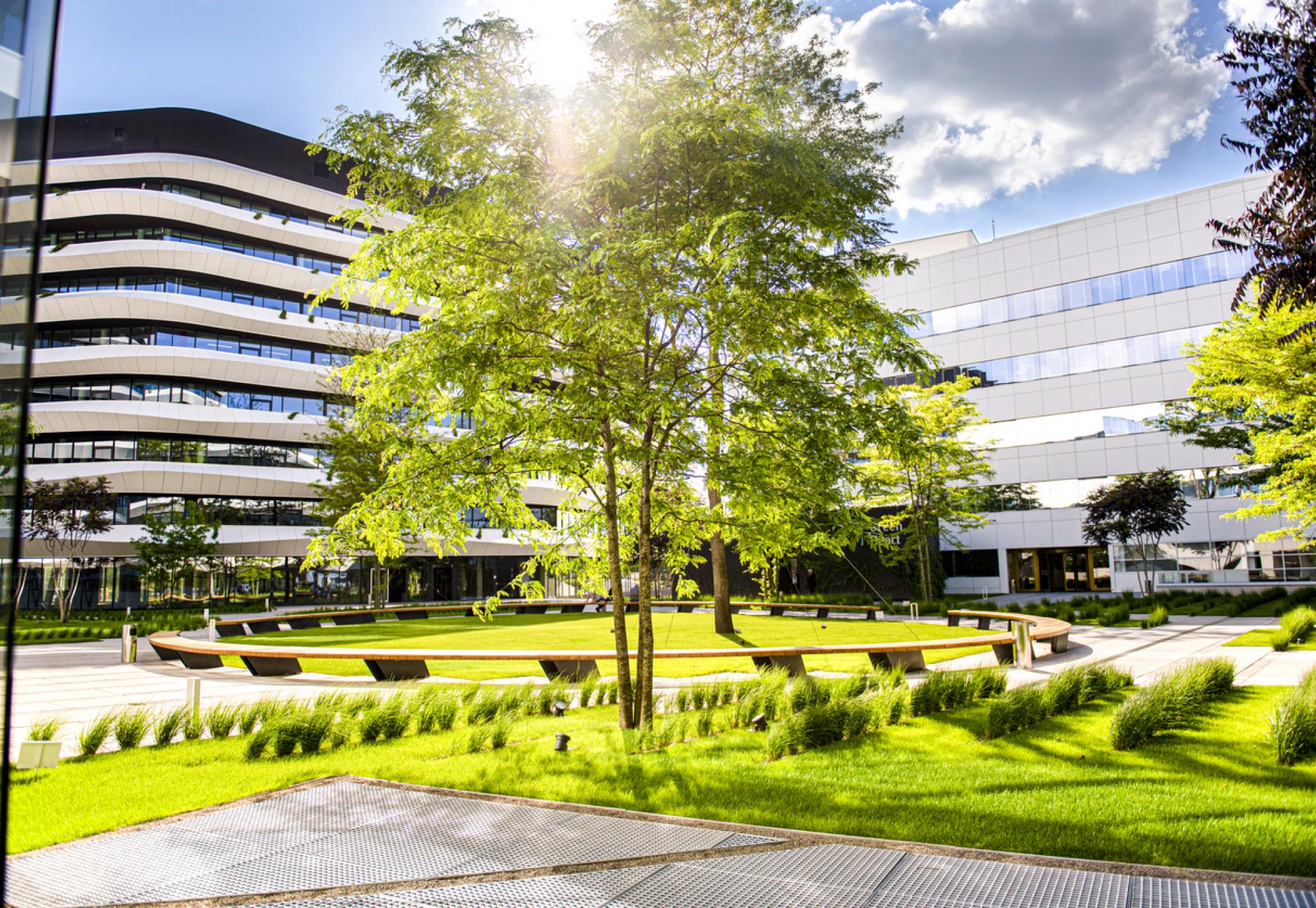 Net zero hospital