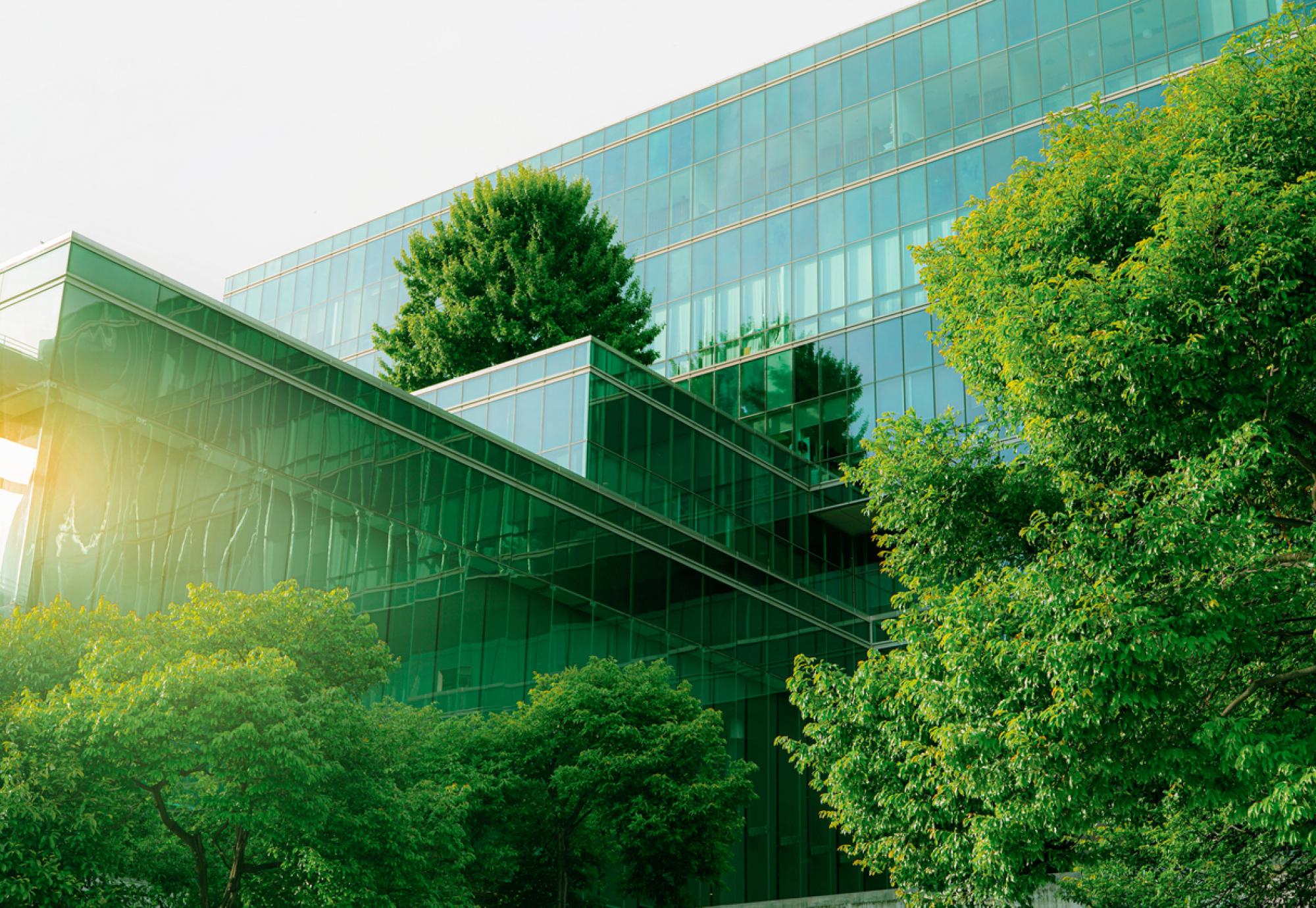 Net zero hospital