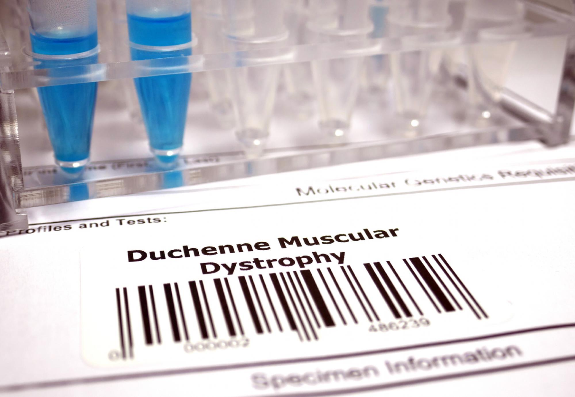 Duchenne muscular dystrophy genetic test