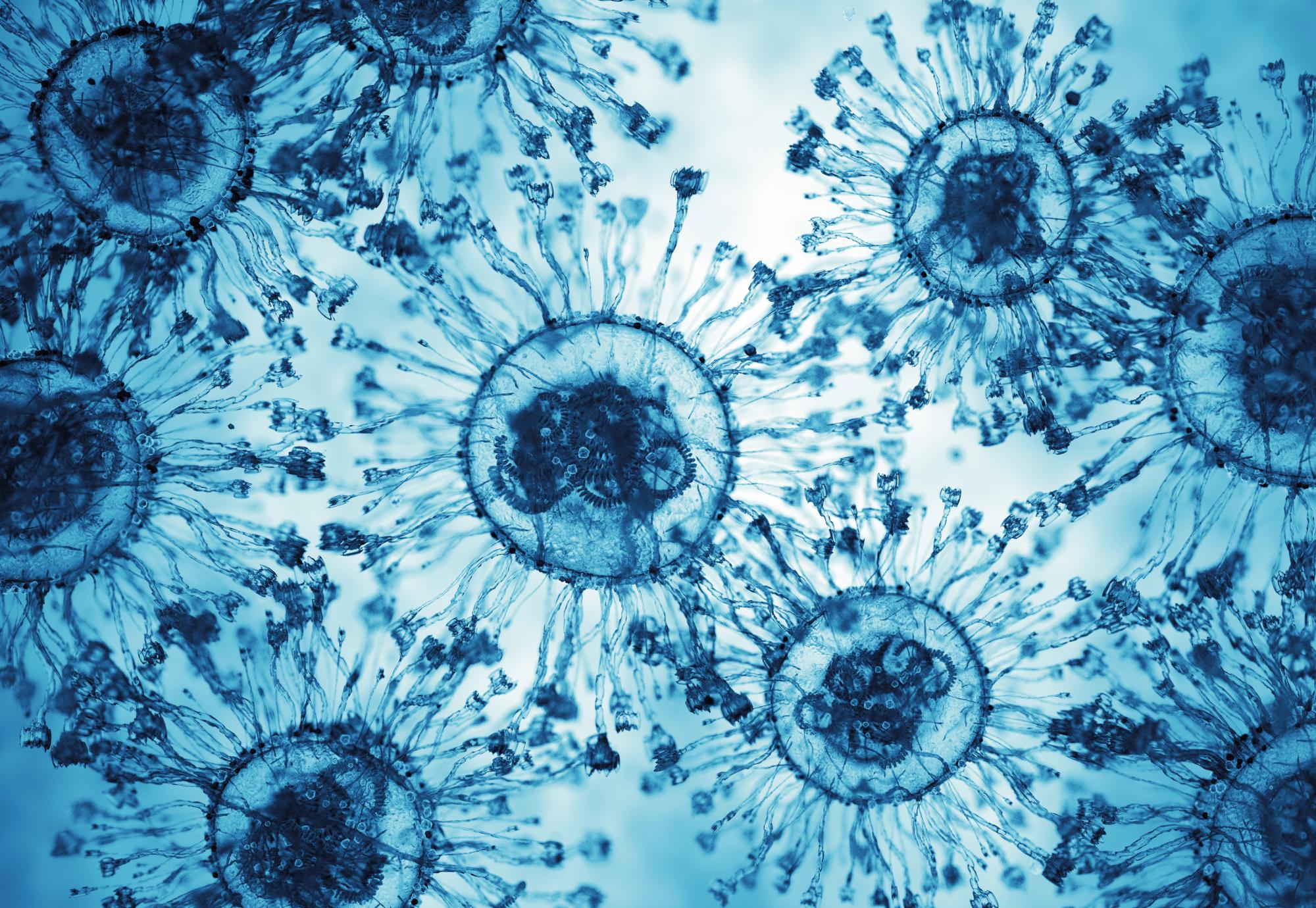 Virus pathogens