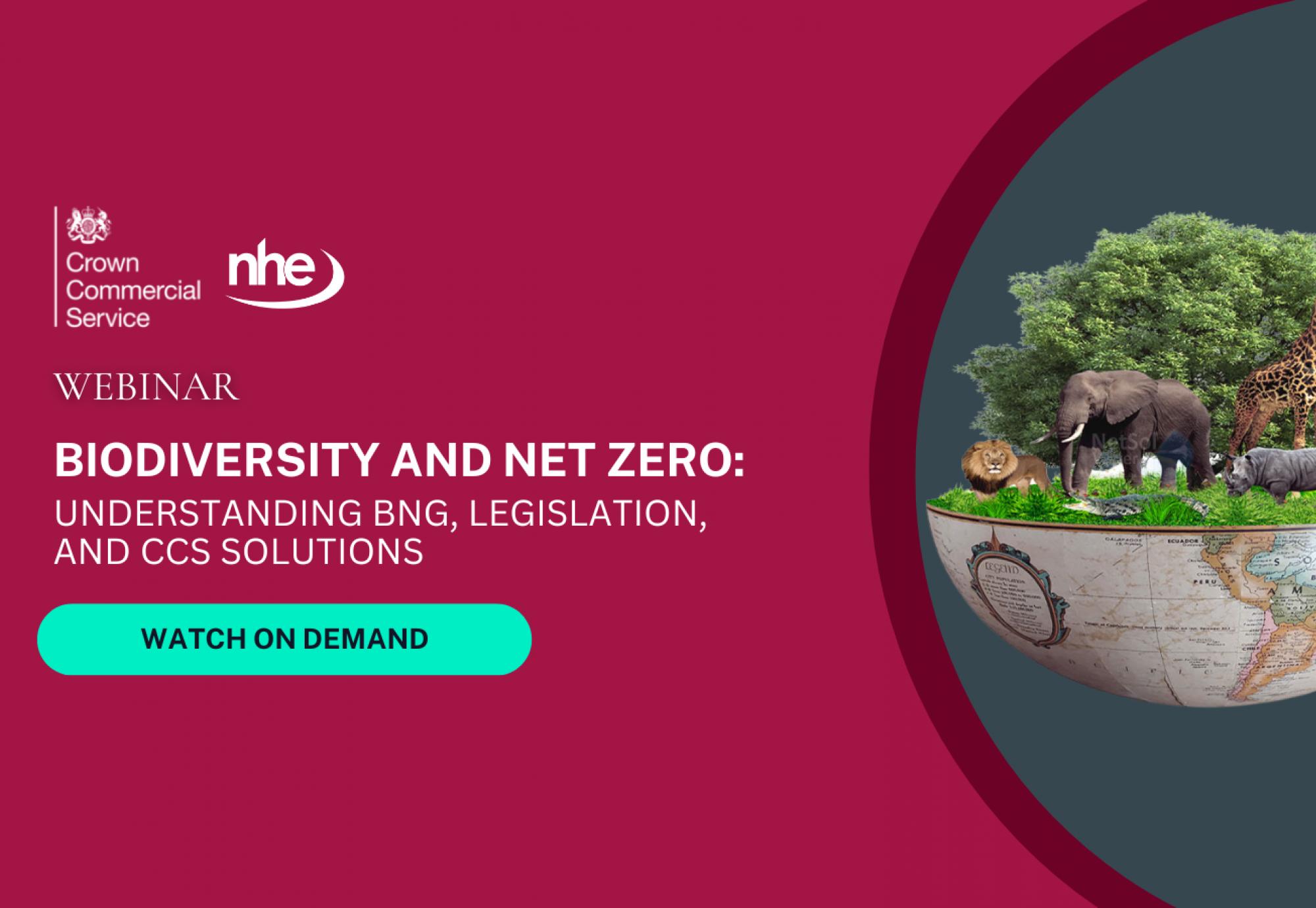 NHE Webinar cover