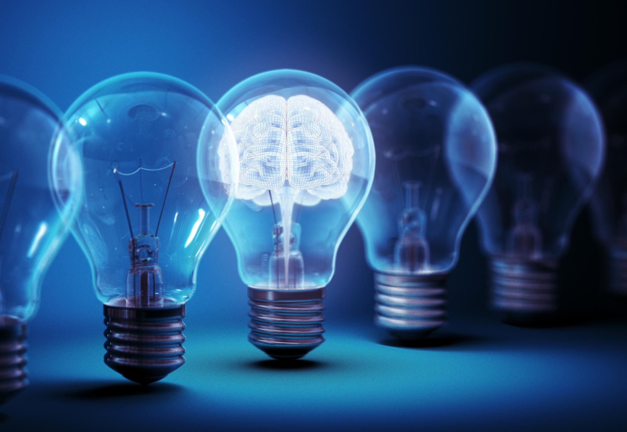 Brain in a Lightbulb