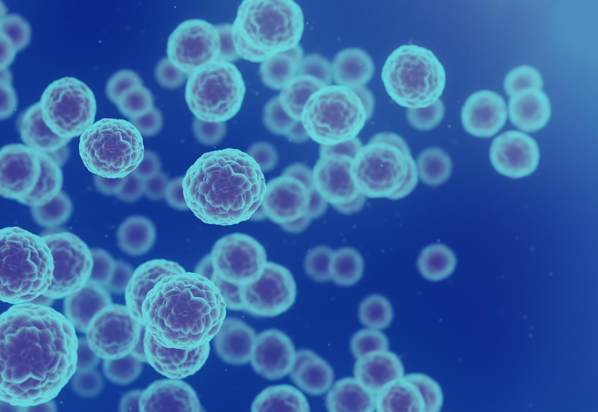Cancer Cells