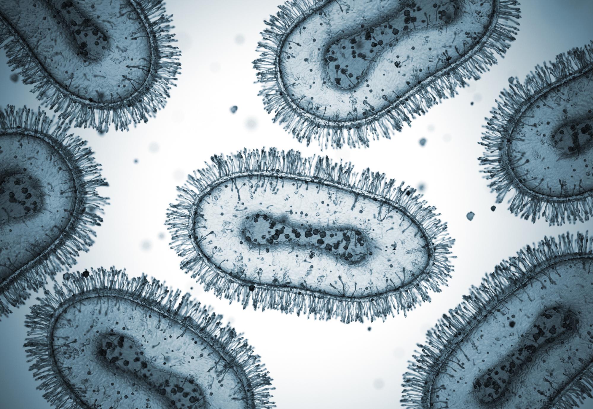 Mpox pathogens