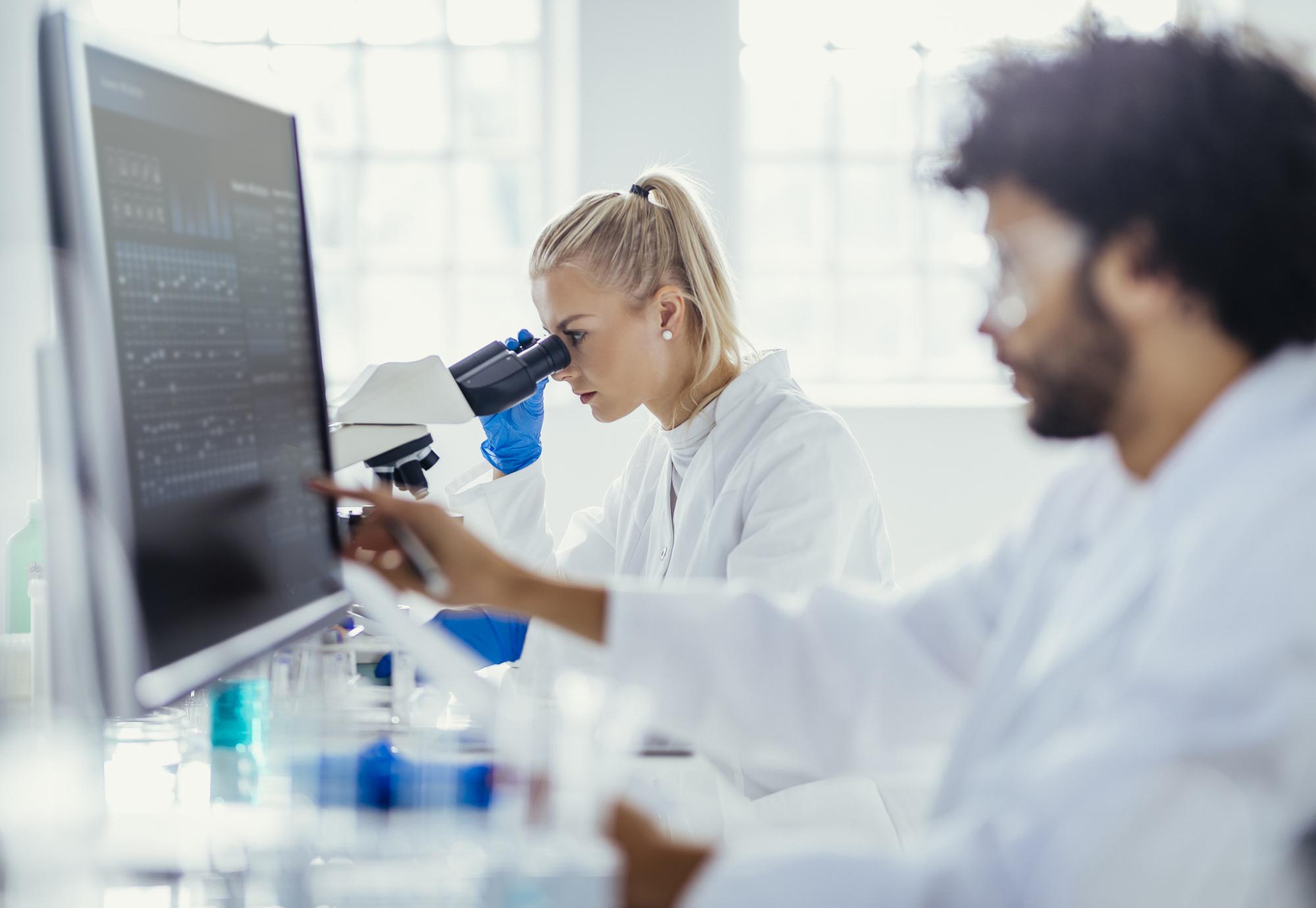 Two scientists conducting research