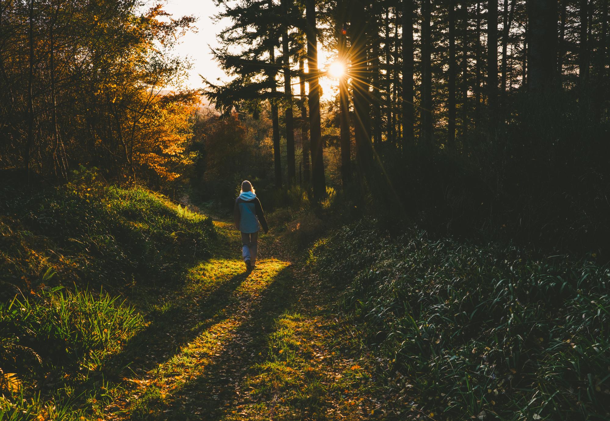 Nature for mental health