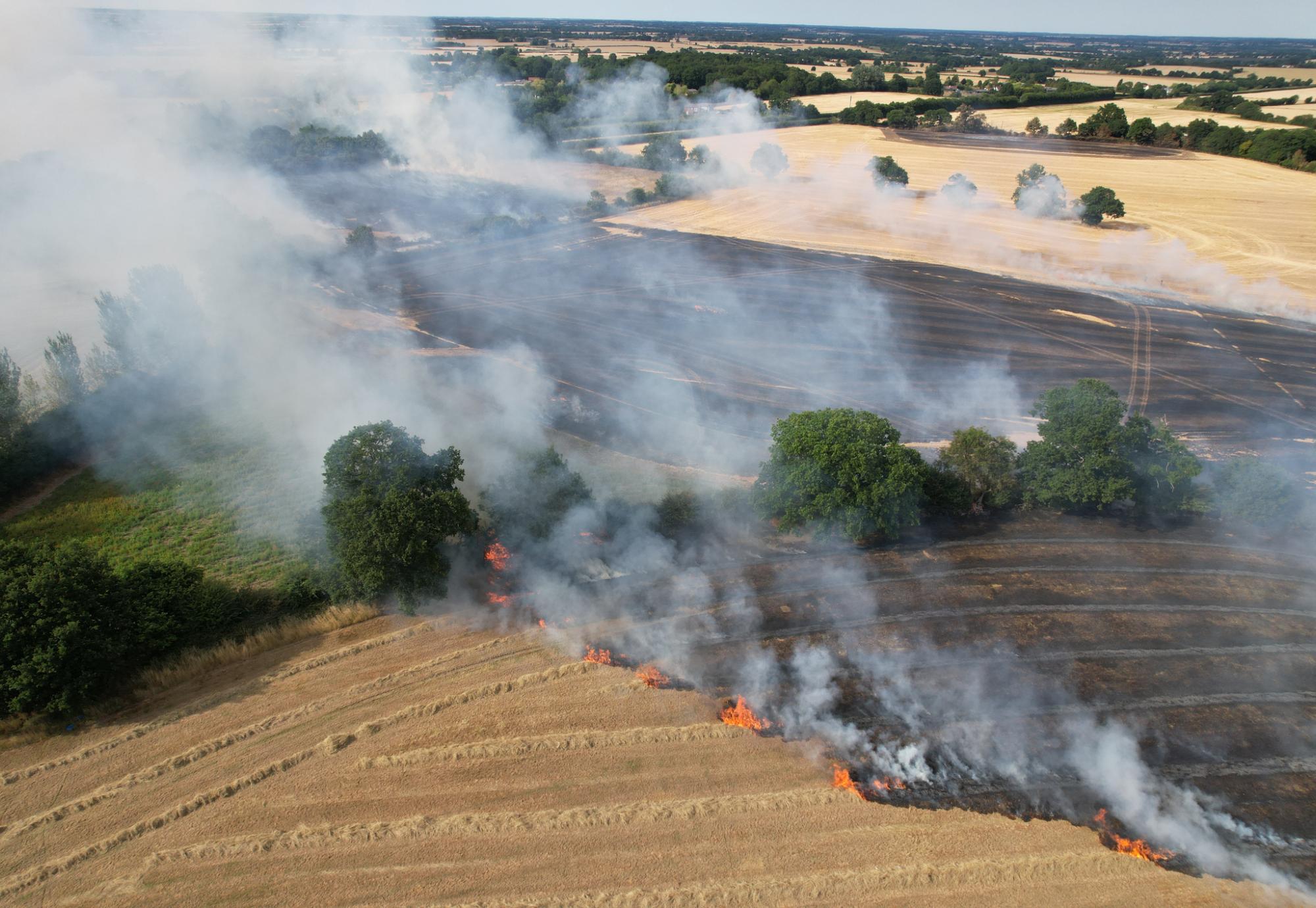 UK wildfire