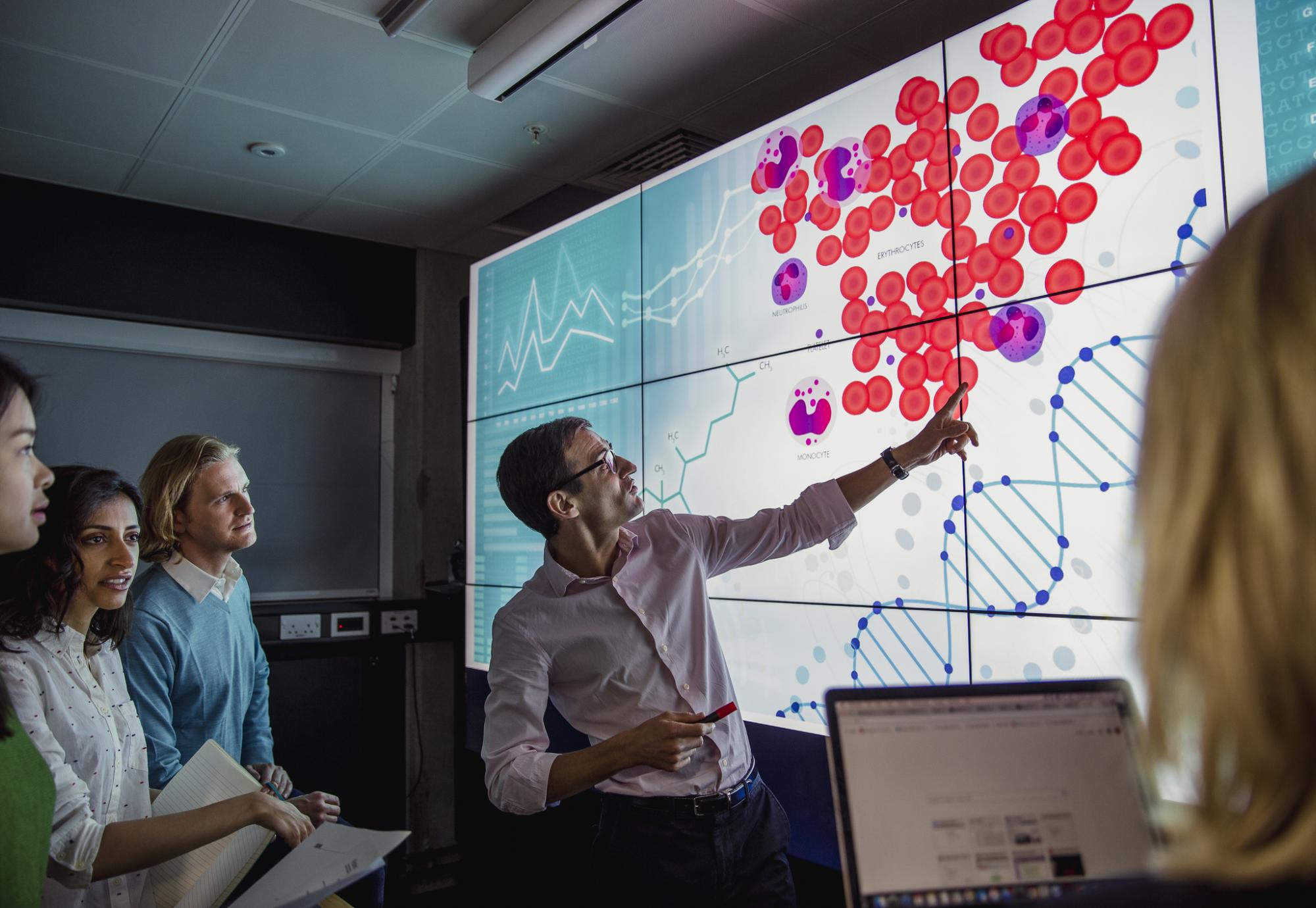 Clinical trial screen