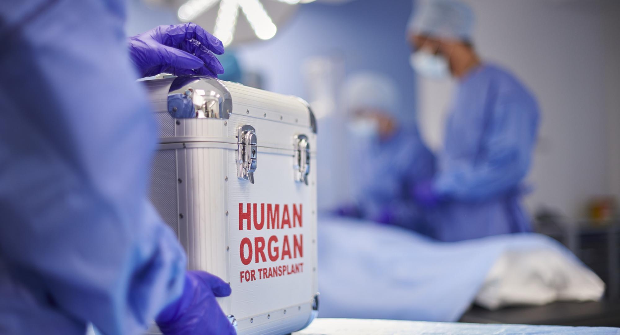 Organ transplant