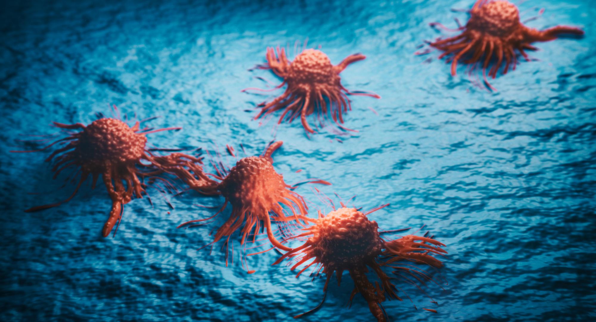 Cancer cells 