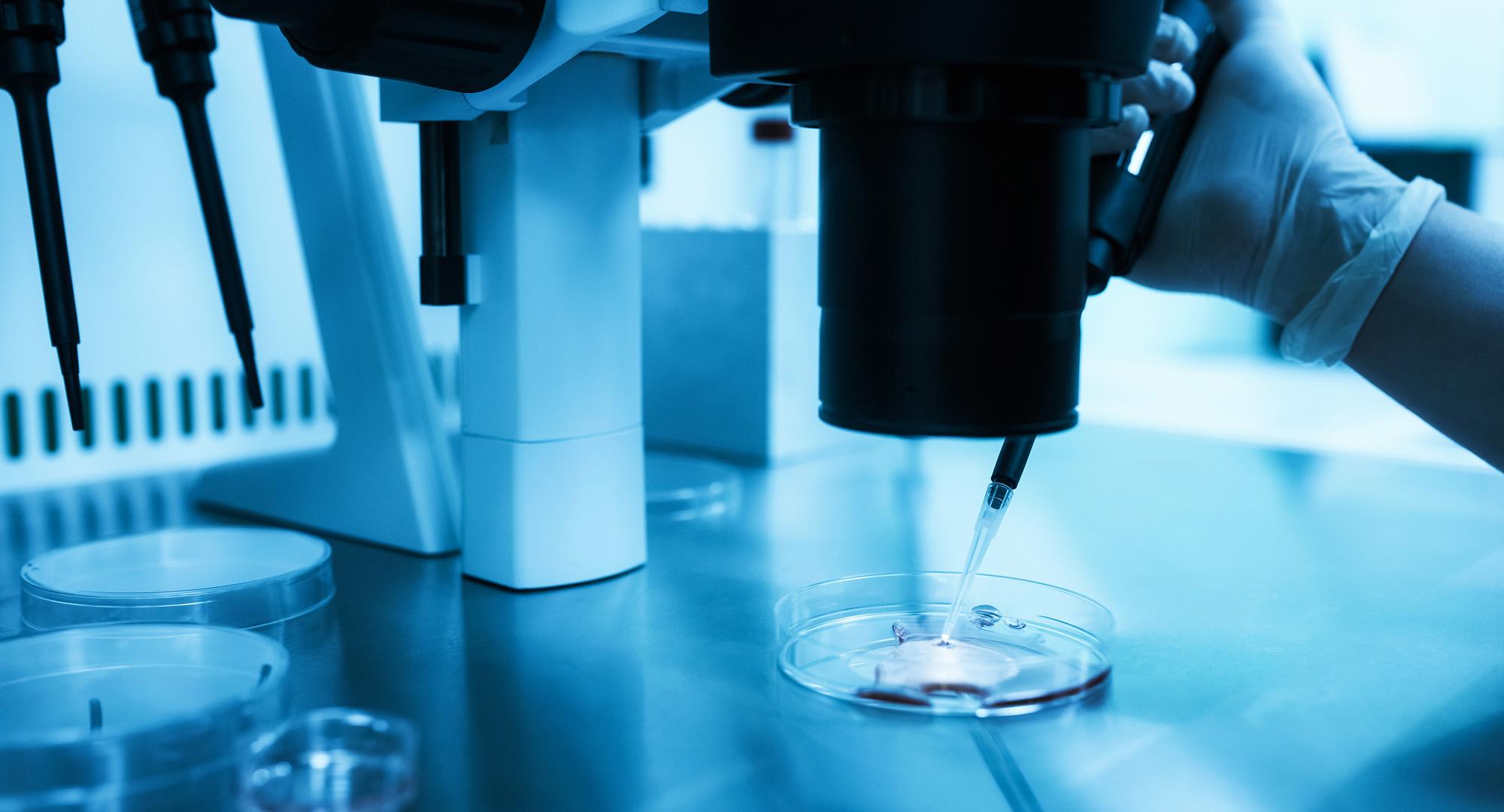 IVF Lab Equipment