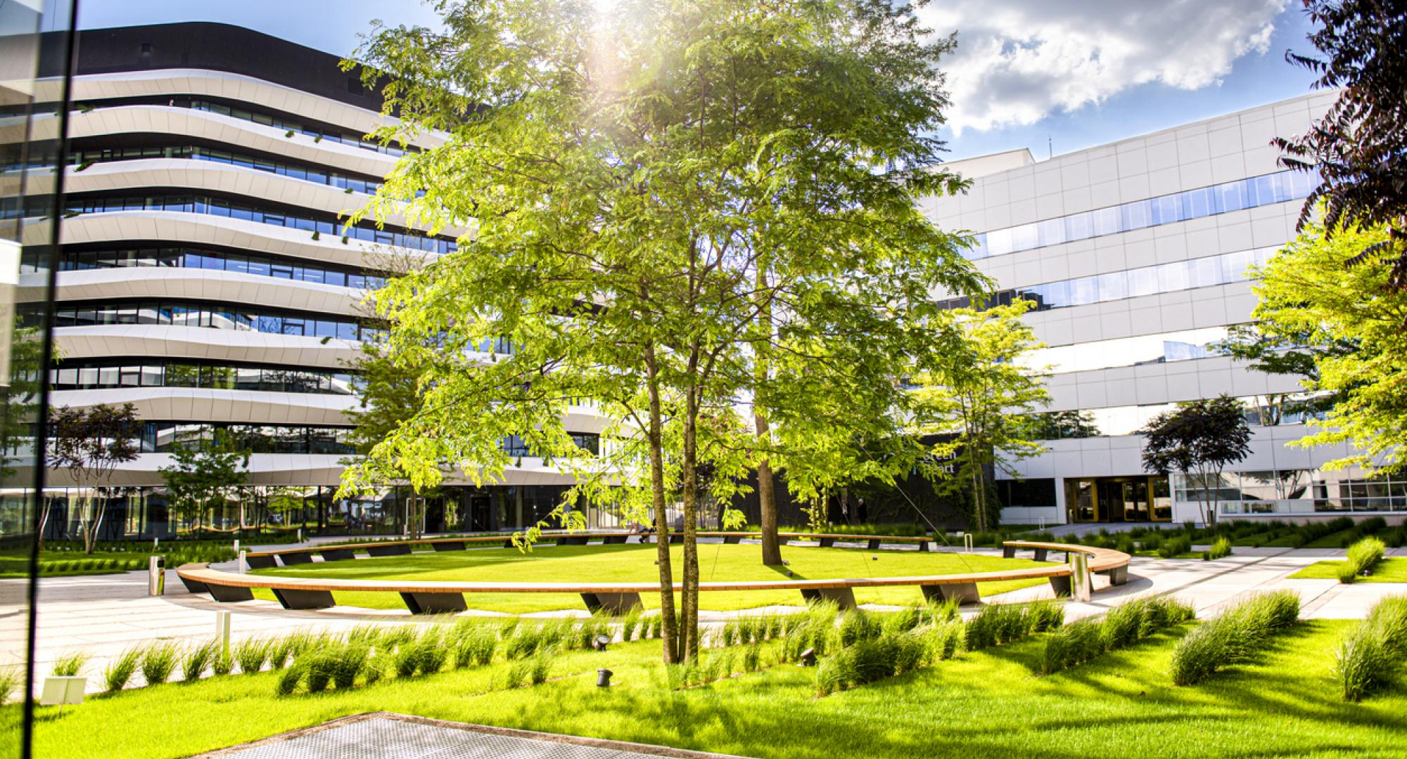 Net zero hospital