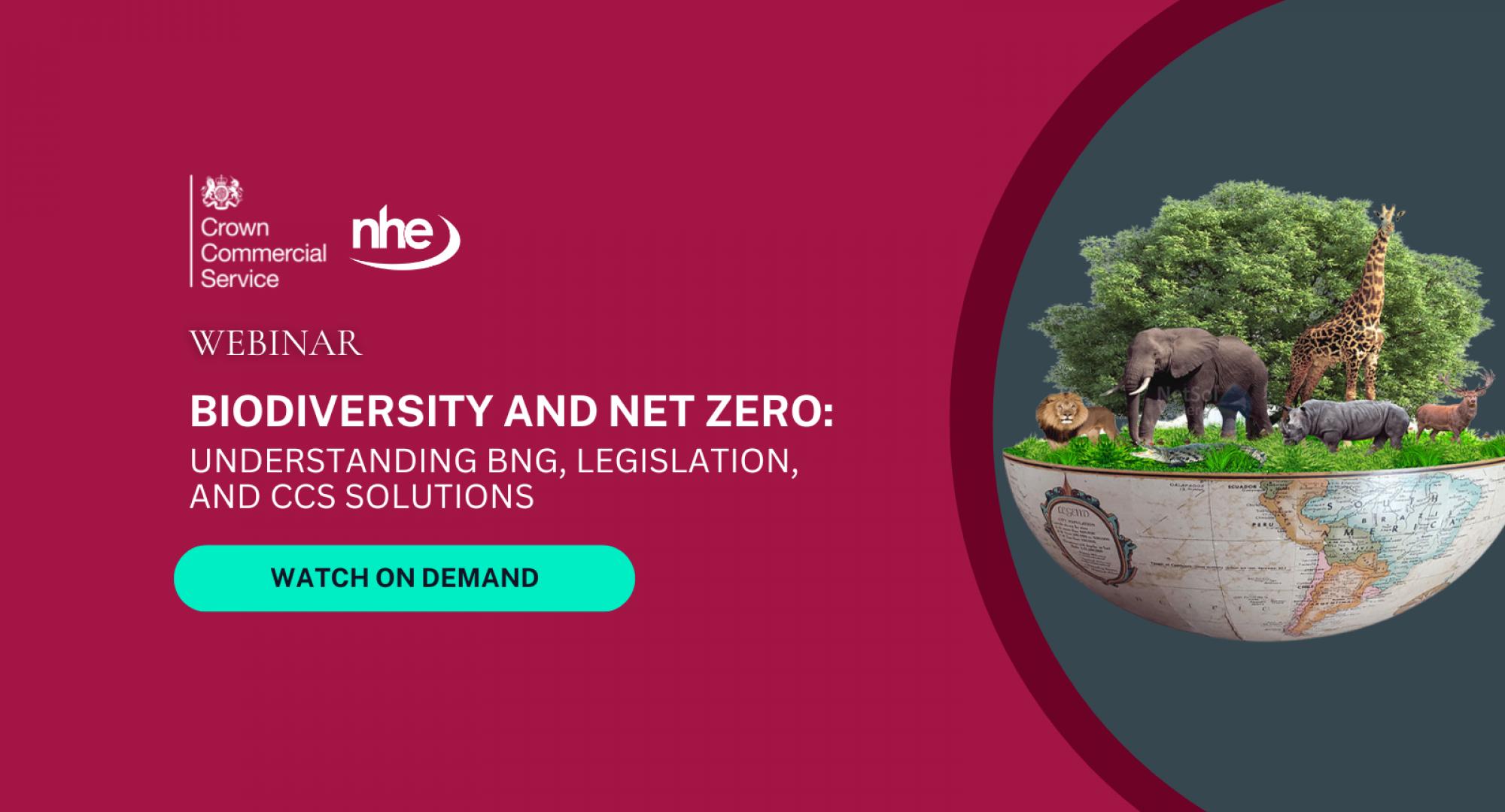 NHE Webinar cover