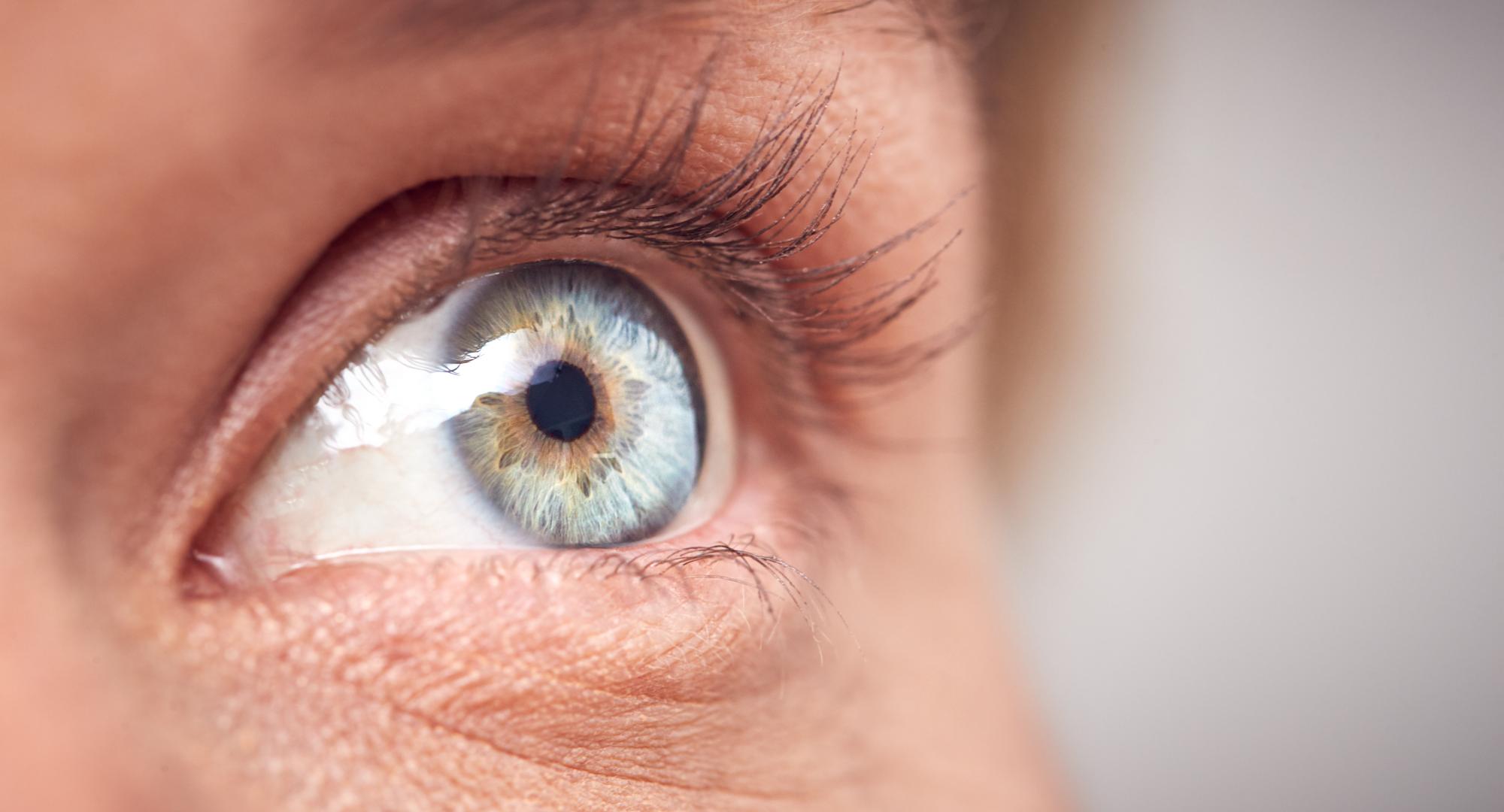 Close up of a woman's eye