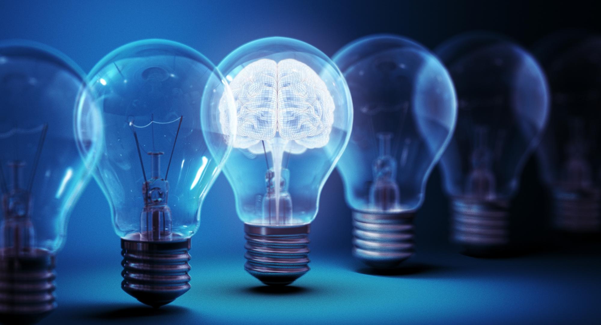 Brain in a Lightbulb