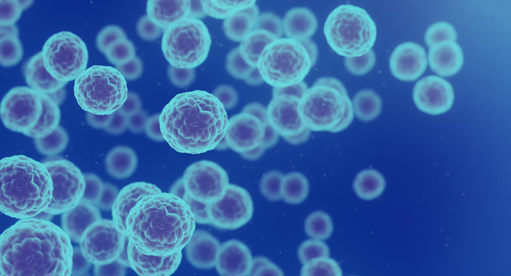 Cancer Cells