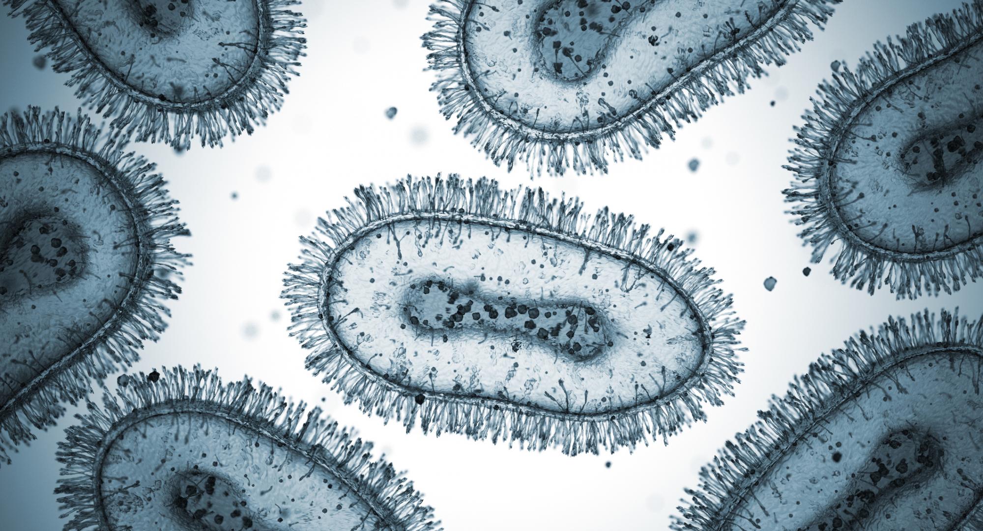 Mpox pathogens