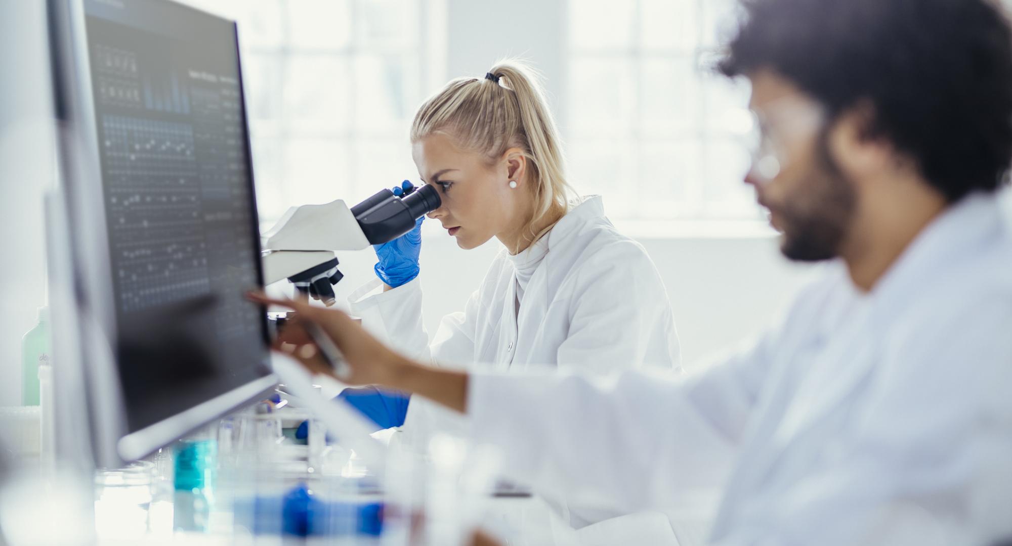 Two scientists conducting research