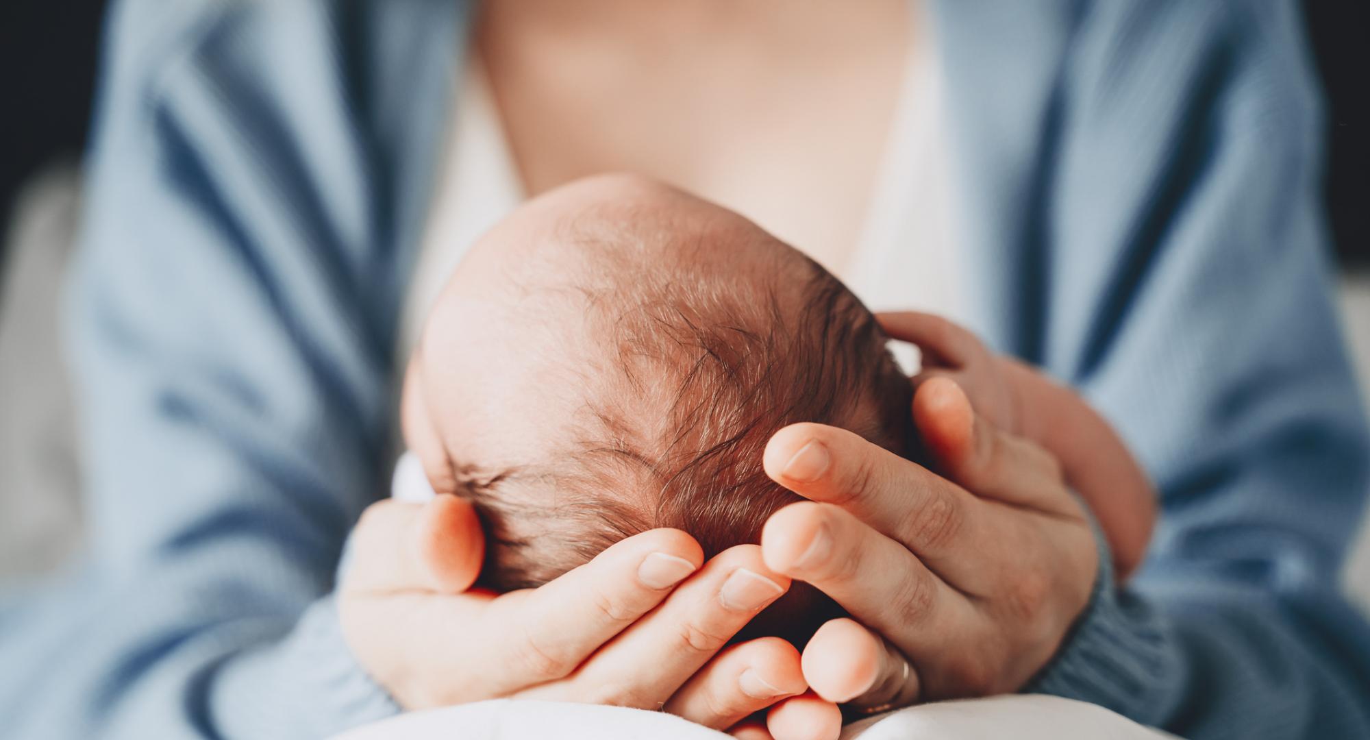Newborn baby in mother's hands