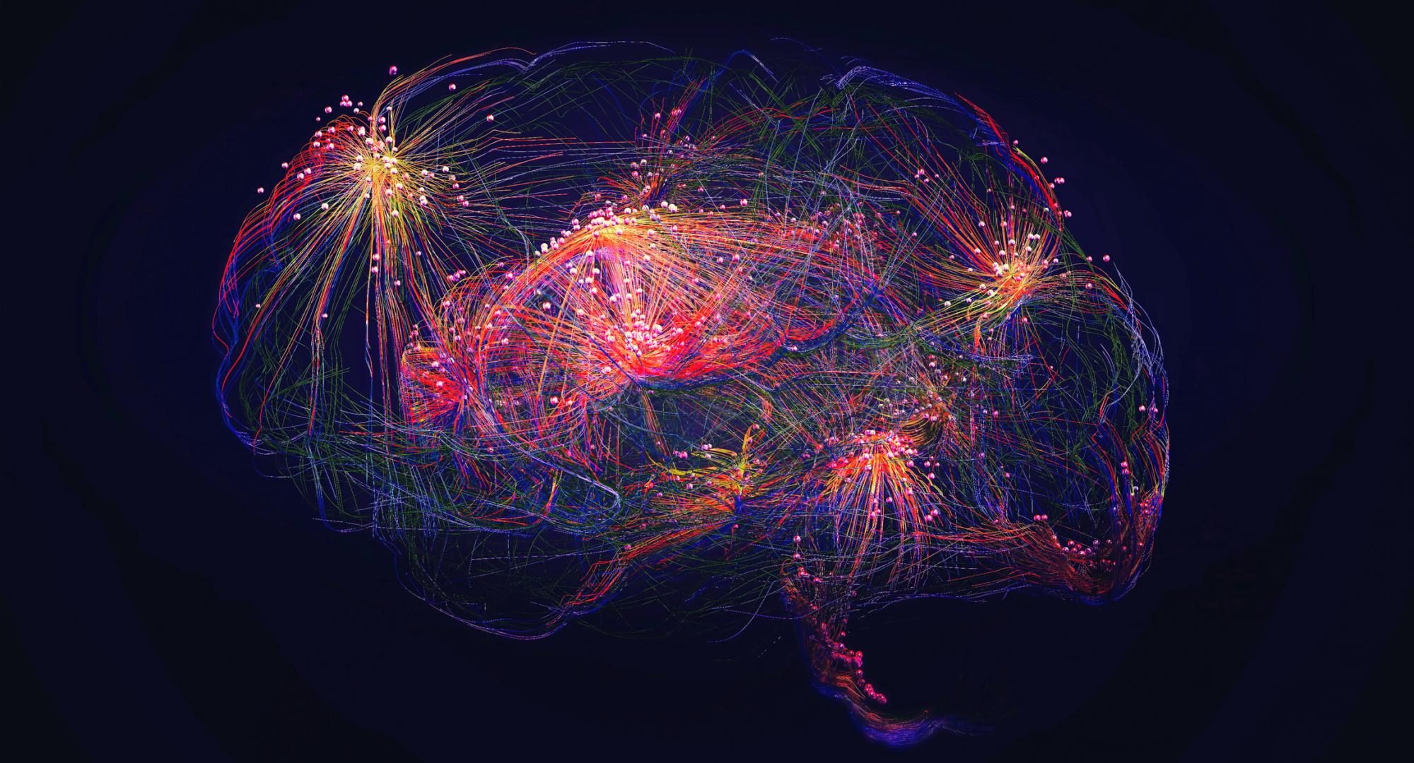 Human brain and mental health