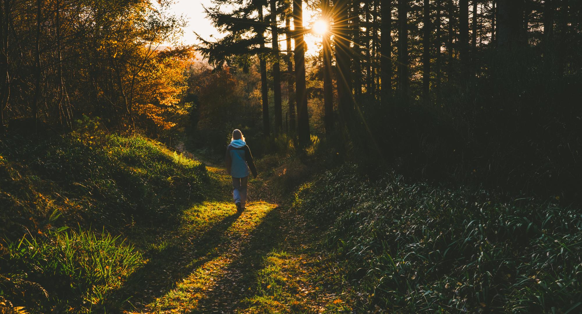 Nature for mental health