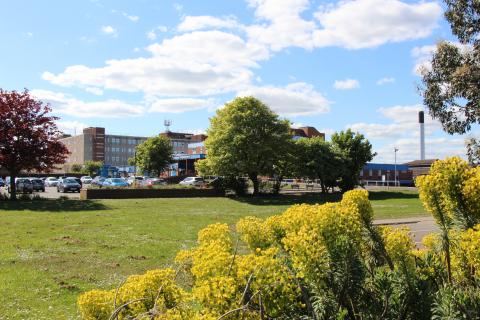 University Hospital of Hartlepool