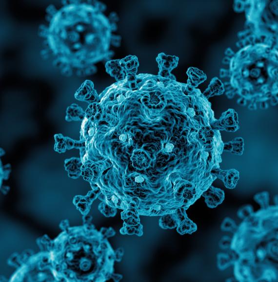 Artist impression virus