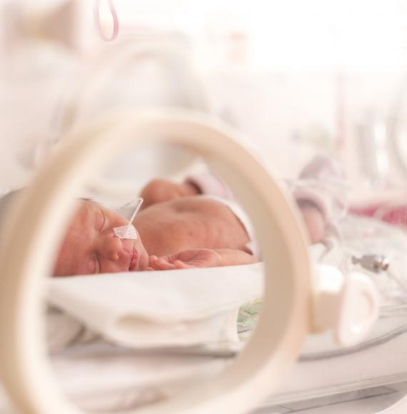 Premature baby in an incubator