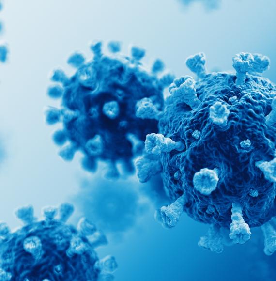 Artist illustration virus cells within a body
