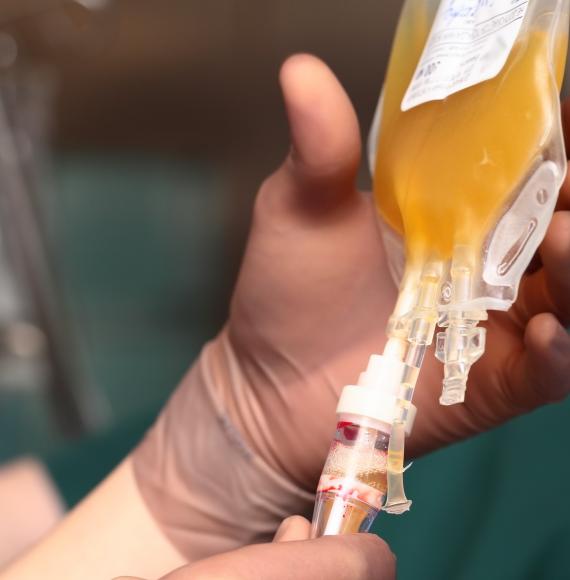 Plasma transfusion being administered